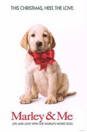 Marley And Me The Puppy Years 2011 DVDRip XviD-IGUANA