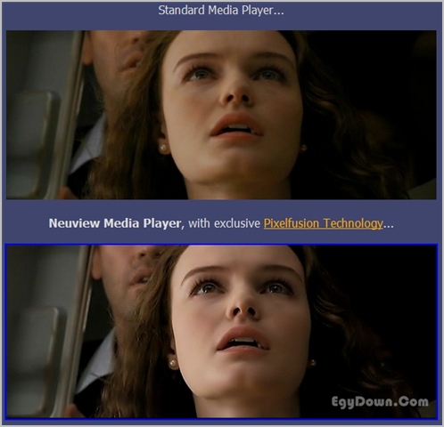 NeuView Media Player 6.0 Professional