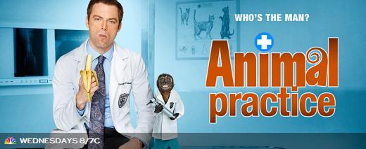 Animal Practice S01E01 HDTV x264-LOL & Animal Practice S01E01 720p HDTV X264-DIMENSIONdesmondhack.us