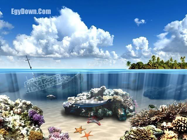 Living Dolphins 3D ScreenSaver Living Dolphins 3D ScreenSaver