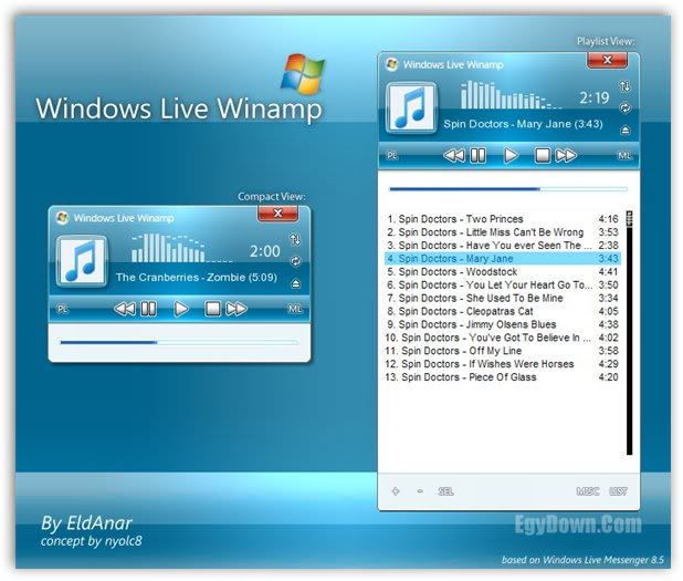 Windows Live Winamp Theme