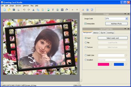 AMS Software Greeting Card Studio
