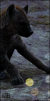 Corel PaintShop Photo Pro X3