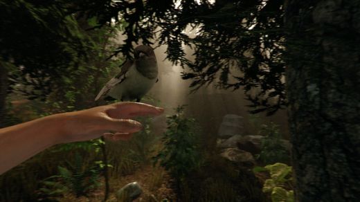 The Forest Public Alpha v0.18 Cracked-3DM