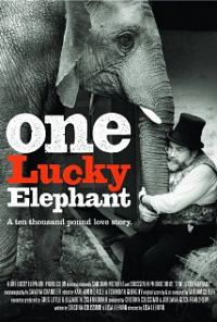 One Lucky Elephant 2010 DVDRip XviD-FRAGMENT