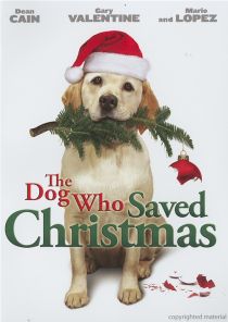 http://nsa11.casimages.com/img/2009/12/27/091227114148691588.jpg