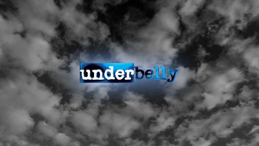 http://nsa14.casimages.com/img/2010/04/11/100411071551243957.jpg