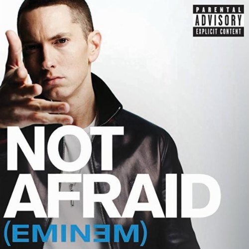 Eminem  Not Afraid WEB x264 2010-FRAY INT