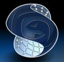 http://nsa25.casimages.com/img/2011/03/05/mini_110305085350699977.jpg