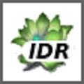 http://nsa20.casimages.com/img/2011/06/17/mini_110617042142161230.jpg