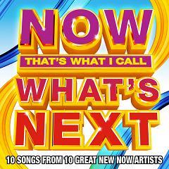 VA - NOW Thats What I Call Whats Next (iTunes Version)-2013