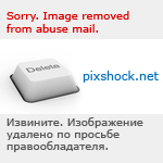 http://www.pixshock.net/pic_b/28d06e2471e7aa9fd2d2b056d89e5f84.jpg