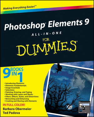 http://media.wiley.com/product_data/coverImage300/44/11180052/1118005244.jpg