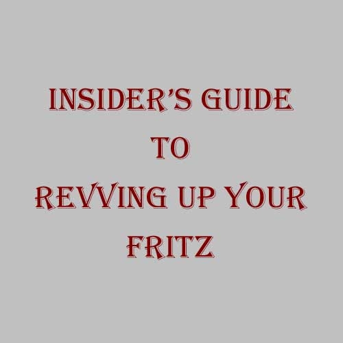 http://www.chesscentral.com/v/vspfiles/photos/revving-up-fritz-2.jpg